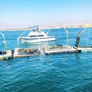 Meet your Posher, Blanca